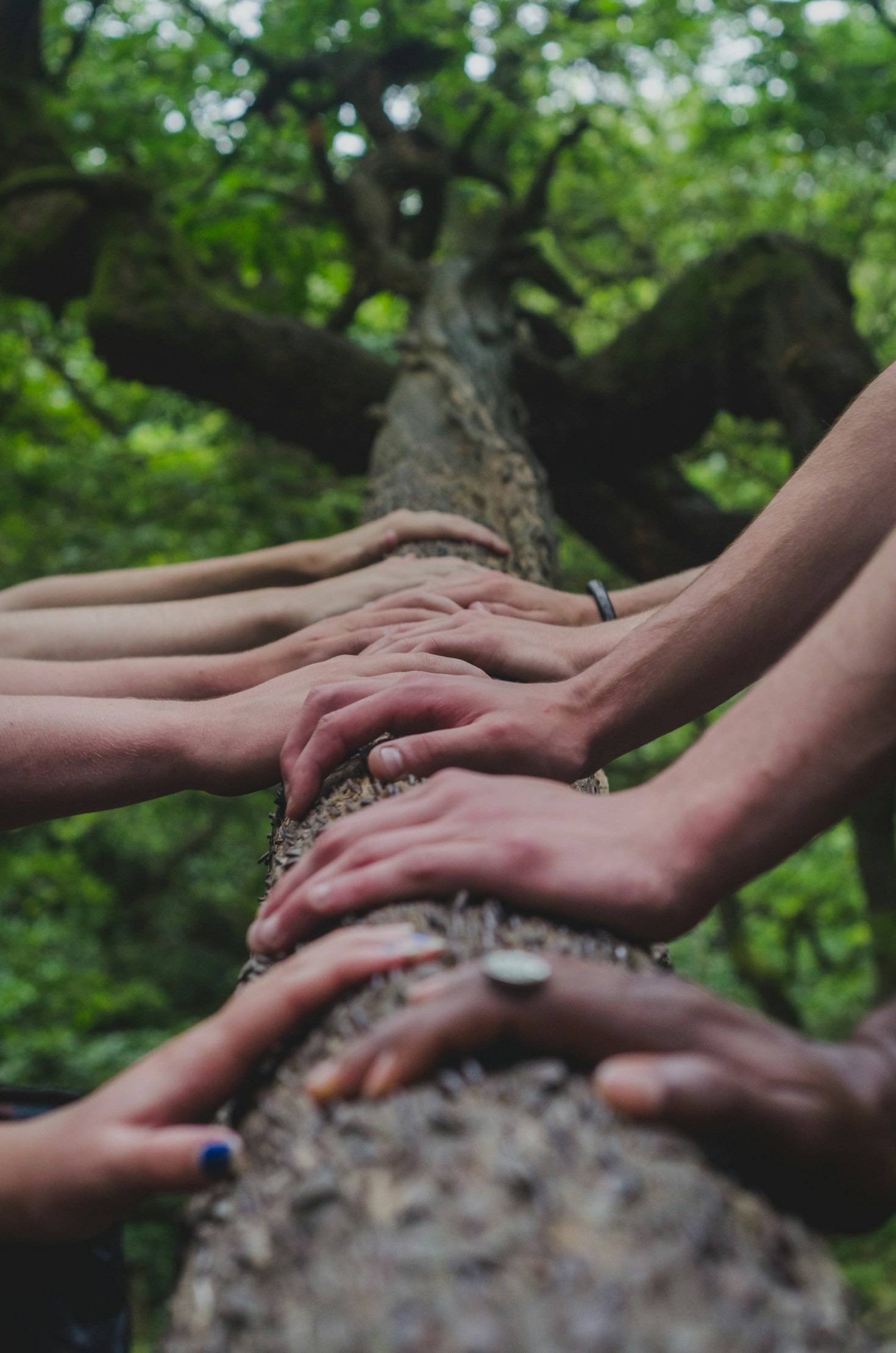 Inspiring Stories of Environmental Action Worldwide