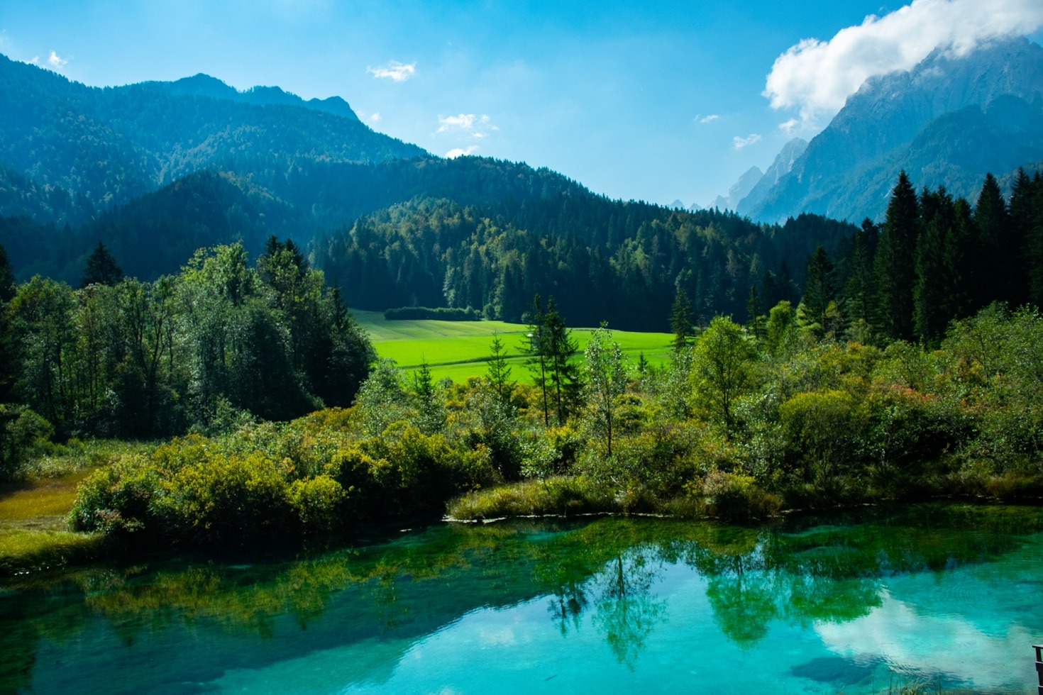 Why International Cooperation is Key for Nature Conservation